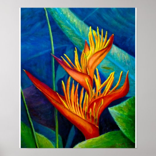 Vogel van het Paradijs Poster (Voorkant)