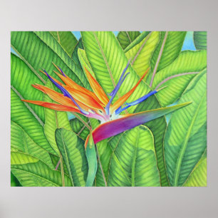 Vogel van het Paradijs Poster