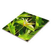 Vogel van het Paradijs Tegeltje (Zijkant)