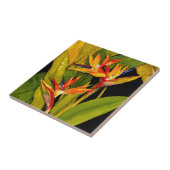 Vogel van het Paradijs Tegeltje (Zijkant)