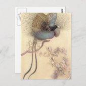 Vogel van het Paradijs van het Briefkaart Warwick (Voorkant / Achterkant)