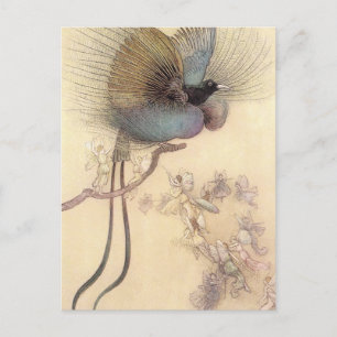 Vogel van het Paradijs van het Briefkaart Warwick