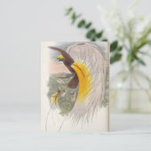 Vogel van het Paradijs van John Gould, vogelvoorbe Briefkaart (Staand voorkant)