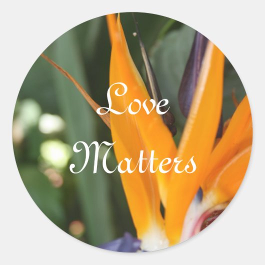 Vogel van het paradijselijk huwelijk ronde sticker (Voorkant)