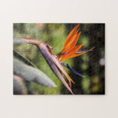 Vogel van het Paradise Puzzle Legpuzzel (Horizontaal)