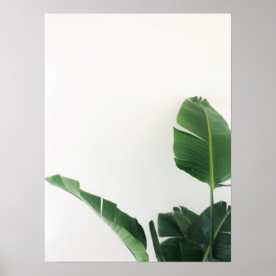Vogel van het Paradise Tropisch Plant Fotografie P Poster