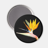Vogel van het Plant van het Paradijs Magnet Magneet (Voorkant / Achterkant)