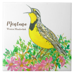 Vogel van Montana Meadowlark Songbird Tegeltje