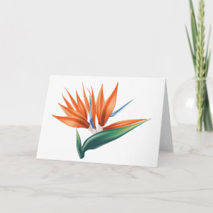 Vogel van paradijs, exotische strelitzia-bloem kaart