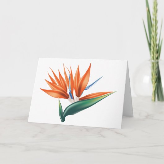 Vogel van paradijs, exotische strelitzia-bloem kaart (Voorkant)