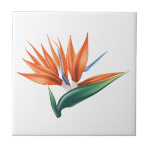 Vogel van paradijs, exotische strelitzia-bloem tegeltje