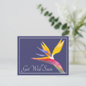 Vogel Van Paradijs Navy Achtergrond Beterschap Briefkaart (Staand voorkant)