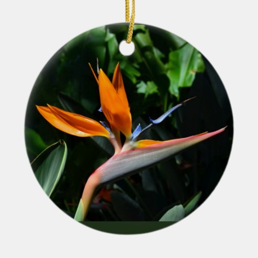 Vogel van paradijssierplant keramisch ornament (Voorkant)