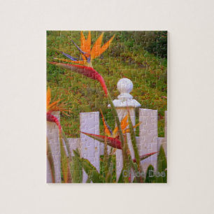 Vogel van Paradise 2 Legpuzzel