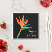 Vogel van Paradise Black Servet (Insitu)