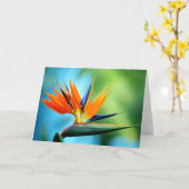 Vogel van Paradise I Kaart (Gele Bloem)