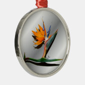 Vogel van Paradise met Shadow Ornament (Rechts)