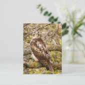 Vogel van Prey Briefkaart (Staand voorkant)