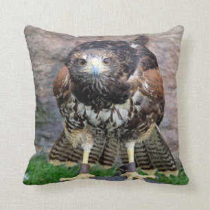 Vogel van prooi #15-Red Tailed Hawk Kussen