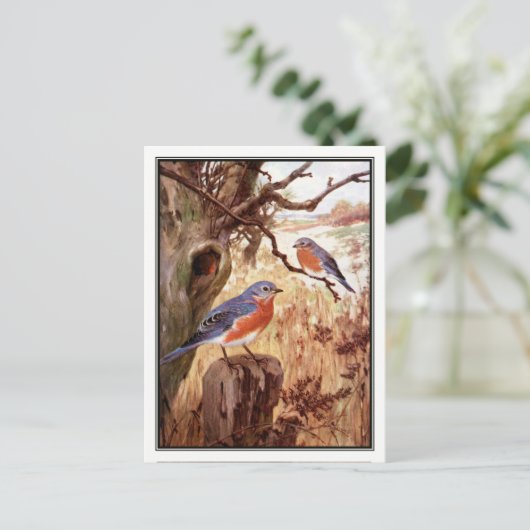 vogel van Robert Bruce Horsfall Briefkaart (Staand voorkant)