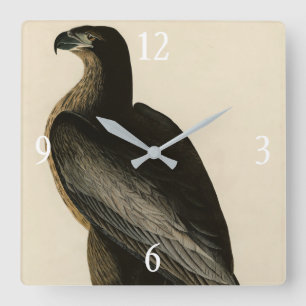 Vogel van Washington uit Audubon's Vogels van Amer Vierkante Klok