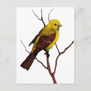 Vogel: Vrouw Westerne Tanager: Oorspronkelijke ill Briefkaart