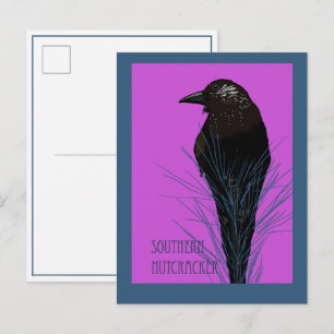 Vogel -- Zuidelijke Notenkraker Briefkaart