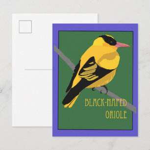 Vogel - Zwarte Nek Wielewaal Briefkaart