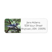 Vogelaars! Blue Jay, gepersonaliseerd Etiket (Voorkant)
