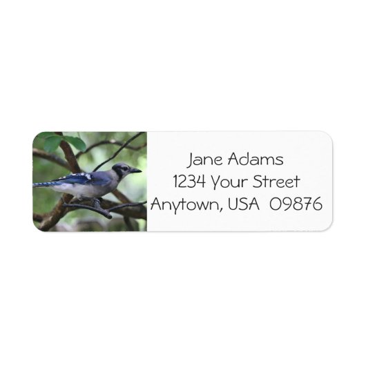 Vogelaars! Blue Jay, gepersonaliseerd Etiket (Voorkant)