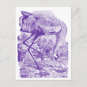 vogelAfbeelding PAARS Hele kraan Briefkaart