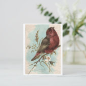  vogelafdrukken briefkaart (Staand voorkant)