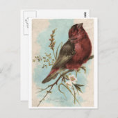  vogelafdrukken briefkaart (Voorkant / Achterkant)