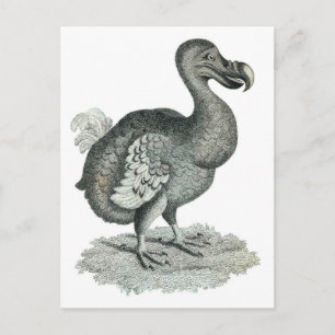 Vogelafdrukken doen briefkaart