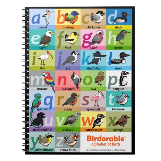 Vogelalfabet Notitieboek (Voorkant)