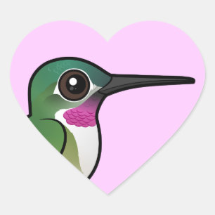 Vogelbare breedstaartkolibrie hart sticker