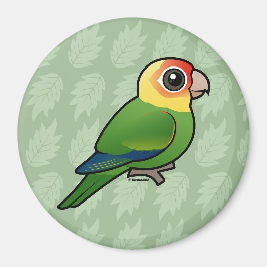 Vogelbare Carolina Parakeet Magneet (Voorkant)