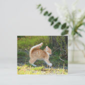 vogelbekdier briefkaart (Staand voorkant)