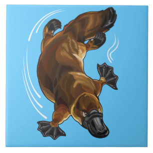 vogelbekdieren tegeltje