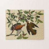  vogelbeklimming legpuzzel (Horizontaal)