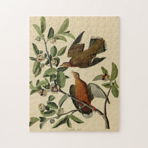 vogelbeklimming legpuzzel