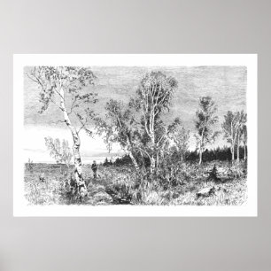  vogelboom 1800 Antiek Poster