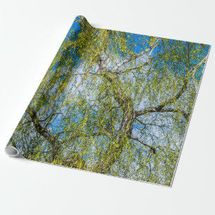 Vogelboom - De lente is in de lucht. Cadeaupapier