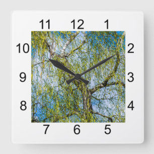 Vogelboom - De lente is in de lucht. Vierkante Klok