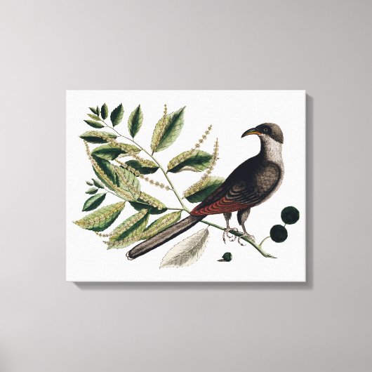 vogelbotanisch canvas afdruk (Voorkant)