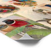 vogelcollage Hummingvogels Kunst rood Poster (Hoek)