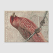 vogelcollage tissuepapier (Voorkant)