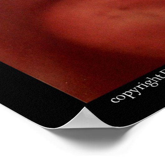 Vogelcontrole Poster (Hoek)