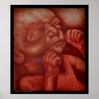 Vogelcontrole Poster