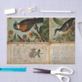  Vogeldagboek Tissuepapier (Craft)